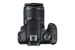 Canon® Canon EOS 2000D Digital SLR Camera With EF-S 18-55mm Lens | Black -Home Appliances 2728C009 3