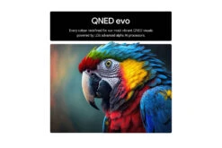 LG 50" QNED Evo AI QNED87 MiniLED 4k Smart TV | 50QNED87A6D.AEK 15 LG 50" QNED Evo AI QNED87 MiniLED 4k Smart TV | 50QNED87A6D.AEK -Home Appliances 50QNED87A6D.AEK 5