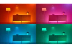 Wiz Filament Globe G95 E27 Smart LED Bulb | Clear 11 Wiz Filament Globe G95 E27 Smart LED Bulb | Clear -Home Appliances 929003267201 5 969520cb 2fa6 4ad8 a71b 810862fd67f6