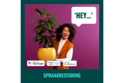 Wiz Smart Dial Switch | White 14 Wiz Smart Dial Switch | White -Home Appliances 929003792301 7