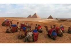 GoPro HERO13 Enduro Battery -Home Appliances AEBAT 001 4