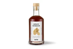 Home Appliances 49 Aarke Drink Mixer | Spicy Ginger