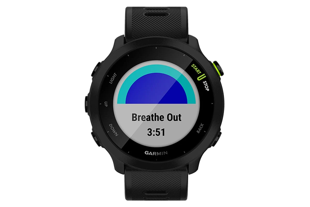 Garmin Forerunner 55 | Black 8 Garmin Forerunner 55 | Black - Image 6