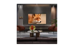 LG 65" OLED Evo AI C5 4K Smart TV | OLED65C54LA.AEK -Home Appliances OLED42C54LA.AEK 9 0ab2d82f d029 4f25 a3be a65782a71d39