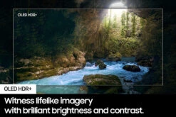 Samsung S90D 83" 4K HDR OLED Smart TV (2024) | QE83S90DAEXXU -Home Appliances QE83S90DAEXXU 2